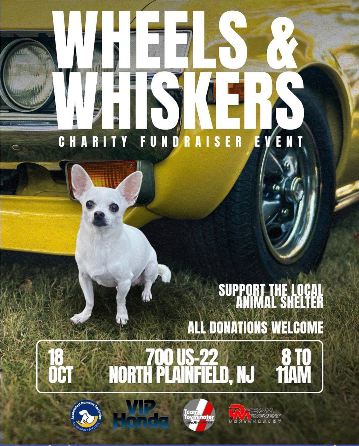 Wheels & Whiskers