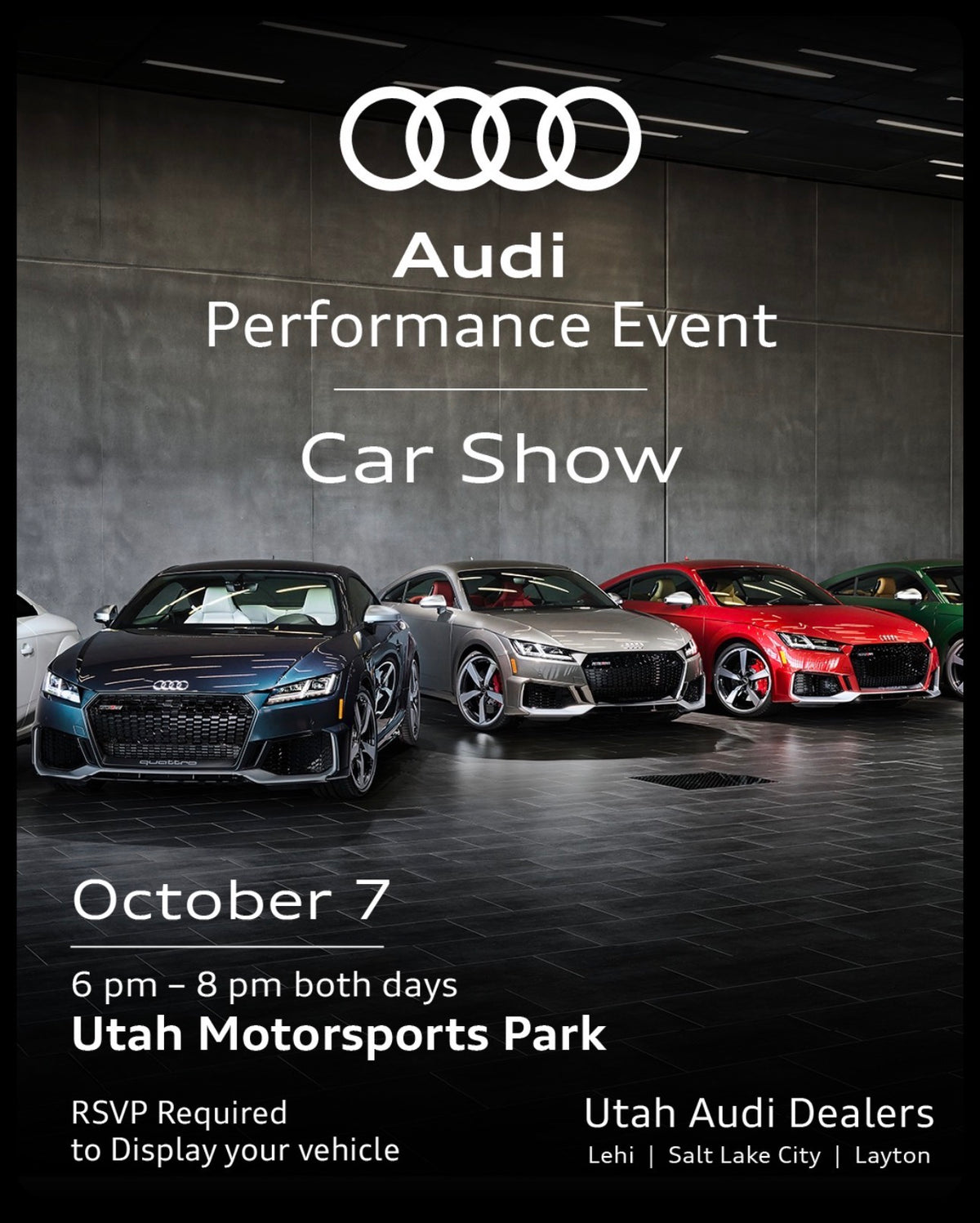 Audi Performance Event