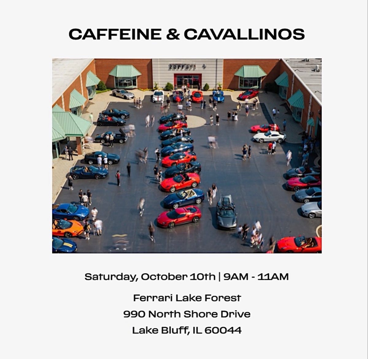 Caffeine & Cavallinos